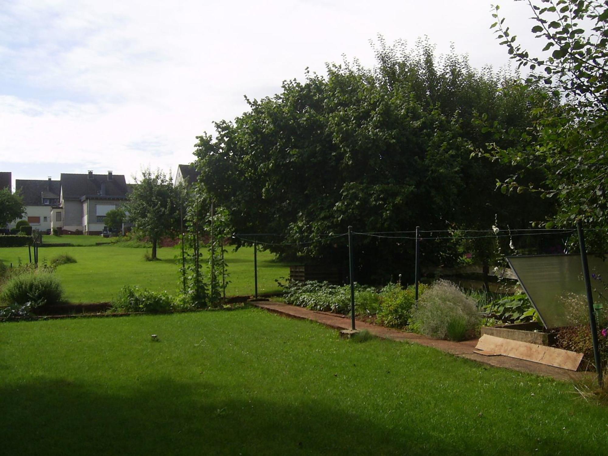 Eifelferienhaus Thome Lissendorf Екстер'єр фото